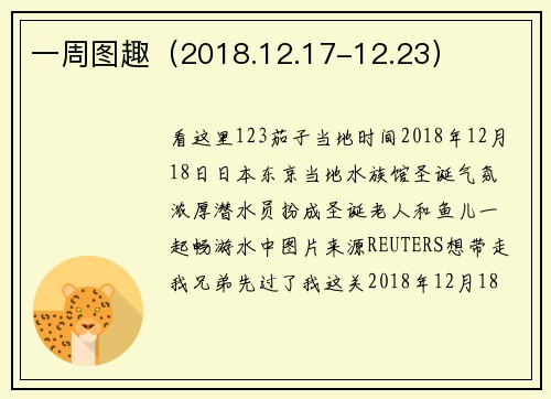 一周图趣（2018.12.17-12.23）