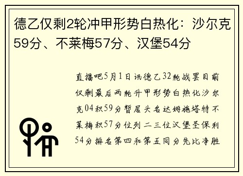 德乙仅剩2轮冲甲形势白热化：沙尔克59分、不莱梅57分、汉堡54分